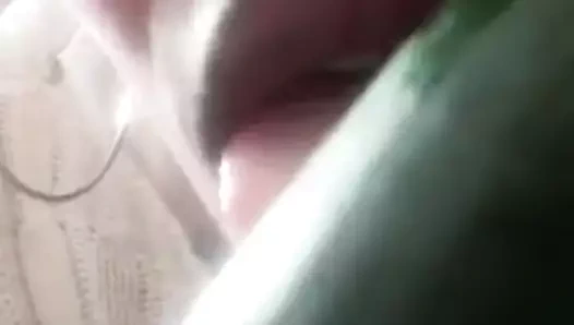 Concombre salope Congolaise