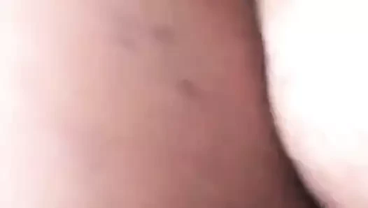 Kansas'tan bir kukuletalı fare