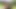 My gifted best friend took me to a cabin in the woods to fuck me wildly