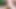 iki süper seksi hatun açık havada yapay penis ve birbirlerinin amları ile oynuyor