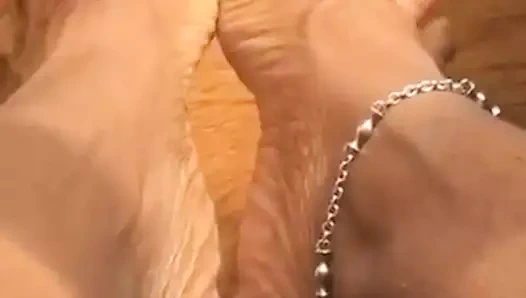 Büyük abanoz kırışıklıkları