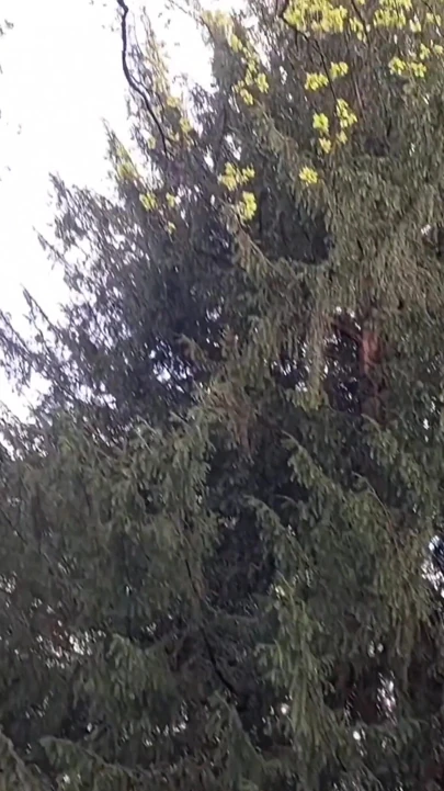 Olgun Sarışın Eş Seksten Hoşlanıyor