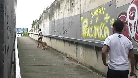 Seksi kız otoyolda sikişiyor