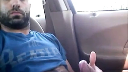 Pajote de barbudo peludo en el coche