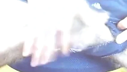 merhaba pisi bölüm 3