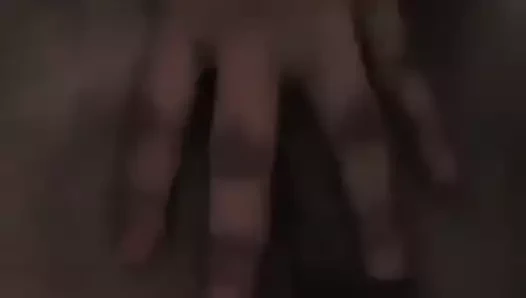 Büyük götlü latin