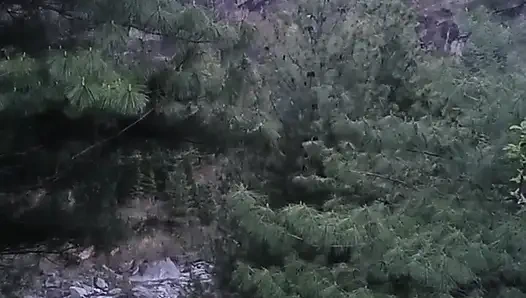 Part 2 - Desi outdoor sex with a stranger girl in the jungle.