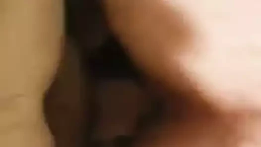 kahrolası chub KEDİ