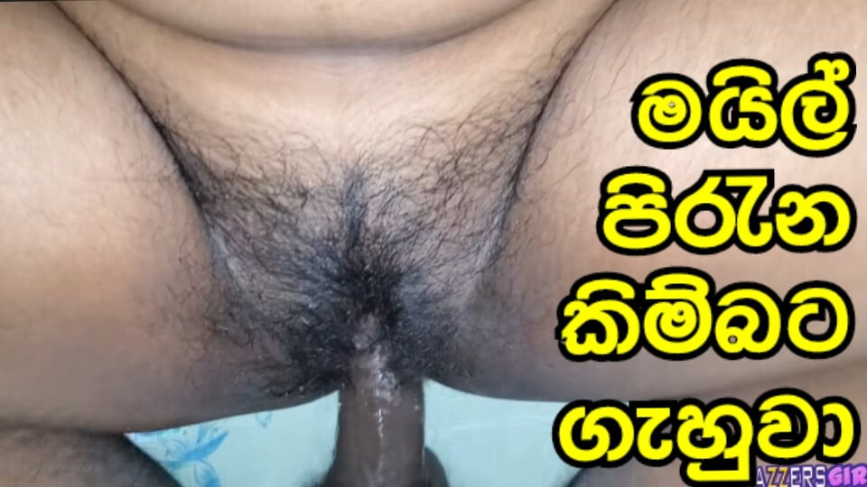 Sri lankan kıllı kedi becerdin