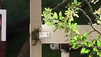 Milf gets becerdin içinde the kararlı