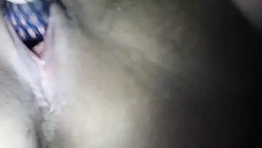 Kedi oynamak için oyuncaklar