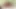 Dreamtranny - büyük götlü travestiler lastik yarak derlemesi alıyor