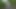 Cheating Outdoor With A Stranger Girl In The Cornfield And Cumming On Her Big Ass