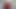Git kızının fotoğrafını çek. joi