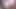 2733770966.mp4