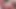 Seksi hatunlar birbirlerini yaladıktan sonra canavar bir dildoyla sikişiyor