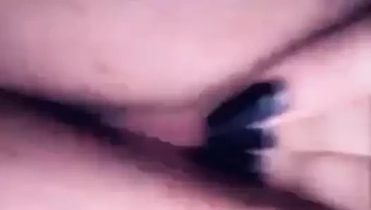 rastgele kingsville Latin