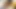 Firstclasspov - genç dava foxx bir canavar horoz emme