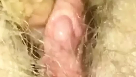 Kedi klitoris güzel yutmak