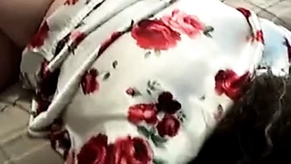 şişman köpek olgun