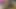 Kind Granny GILF Next Door Plays with Black Cock in the Morning for Cum Load in Her Hand
