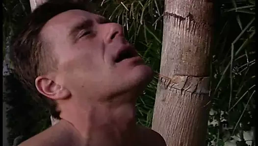 Çeşitli sanatçılar - tek yön bilet