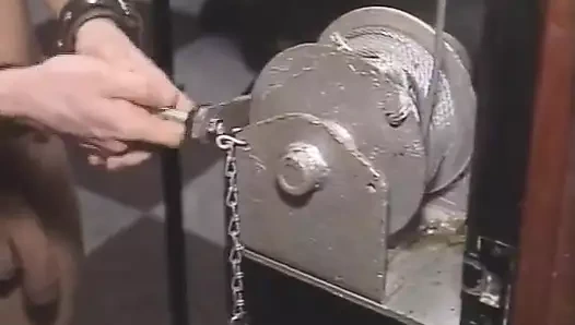 Amatör hakimiyet esareti.