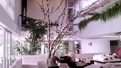 mary'nin baştan çıkarılması