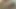 Yeni gelen lanet tüm zevkleri keşfetmek