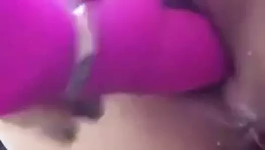 oyuncak kedi
