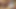 Brezilyalı karı koca evde seksi oynuyor bölüm 16 - yaramaz küçük karınca