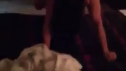 benim karım seviyor horoz