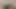 Secret Masturbation in the Toilet
