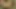 Busty bebek seksi etek şeritler ve oturma odasında derin siyah penetrasyon alır