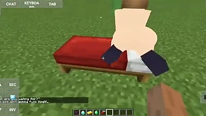 yCokkixyz ensina a tranzar no minecraft