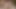 2 guys fuck in pussy and cum in her mouth