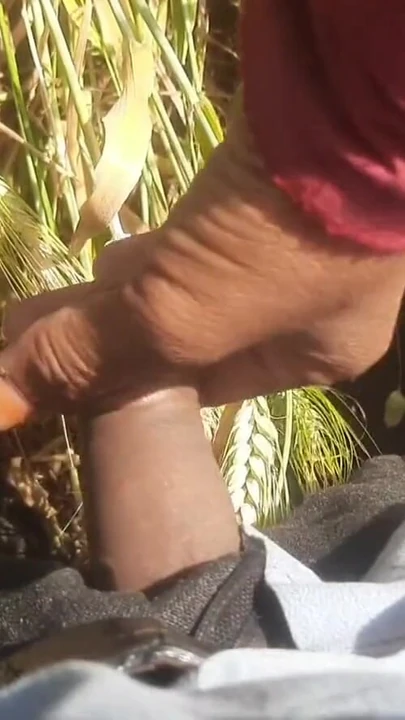 Ключевой момент из "Красивая невестка нарезала корма на пшеничном поле, шурин трахнул большую толстую задницу в"