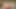 Üvey kız kardeş halka açık bir parkta anal seksi seviyor