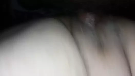 Horoz ıslak tombul kedi okşayarak!