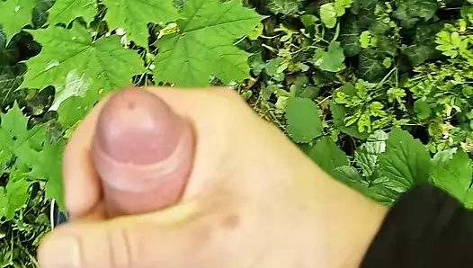 Ormanda 💦 Wixxing