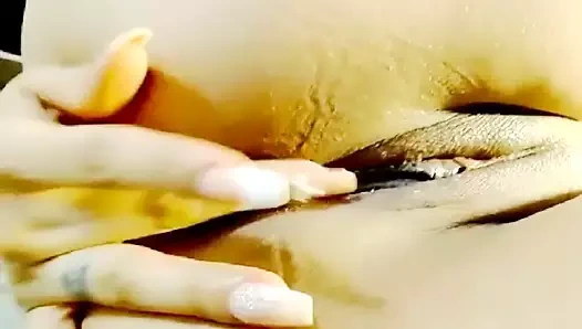 karanlık kavrulmuş aç kedi arasında latina