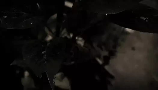 Mage sariya galawala rathu wenakamma thandeka iruwa.. sinhala wal katha