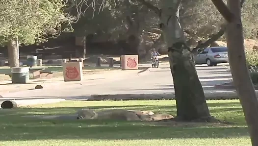 Lezbiyen genç kız Ashley ve Scarlett birlikte eğlenmeyi biliyor