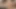 21 sextury - minyon esmer Darcy Dark çok azgın ve sıkı götünde bir yarak istiyor