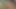 Vahşi plajda karım çıplak ıslak amına parmaklarıyla mastürbasyon yapıyor, eski sevgilisi güneşlenirken. Herkesin içinde çıplak. Orta yaşlı seksi kadın çıplaklar