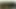 Teen Babe gibt zwei Jungs im Dschungel einen tollen Blowjob