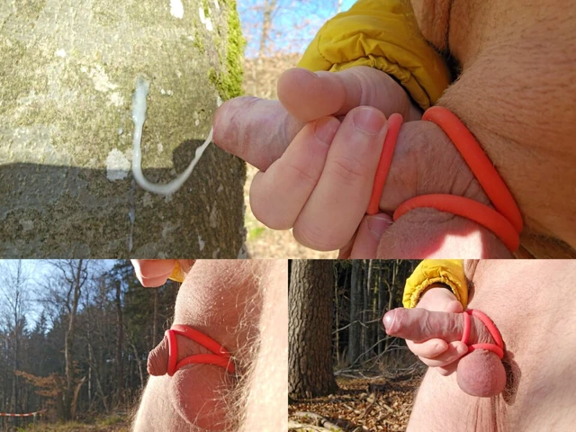 Yeni yıl elle muamele 2026 - ormanda yarak halkası ağır çekim ile eğlence