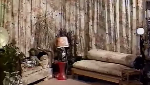 Salopes zincirleri - 1990