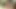 Travesti Roberta Lins muhteşem götünü dildoyla dolduruyor