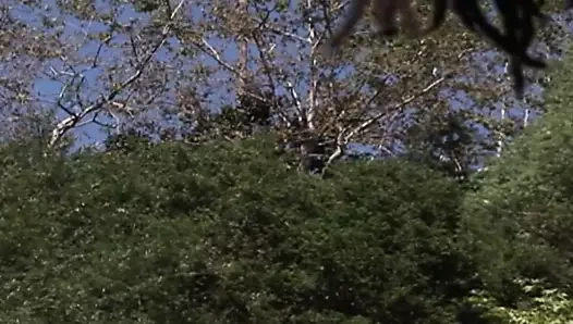 Riesiger BBC darf mich anal nehmen